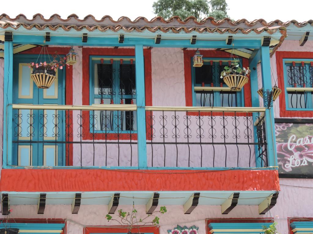 Hotel Los Geranios ドゥイタマ 部屋 写真